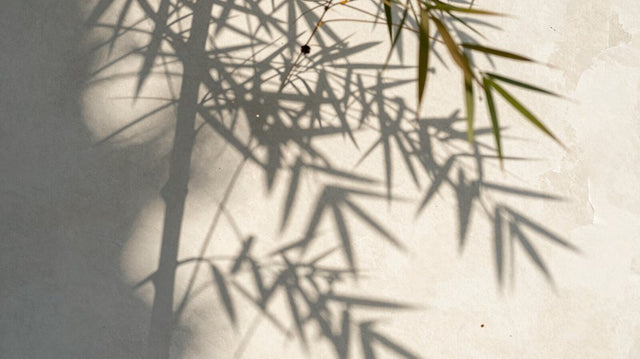 O Efeito das Sombras Projetadas: Como a Trama de Bambu Transforma a Percepção do Ambiente - Luzzart