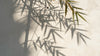 O Efeito das Sombras Projetadas: Como a Trama de Bambu Transforma a Percepção do Ambiente - Luzzart