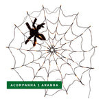 Teia de Aranha LED com Aranha Decorativa – Halloween - Disponível na ProntoPraTi