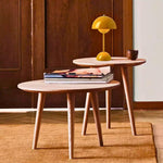 Abajur Cogumelo Portátil Touch - MushTouch Led