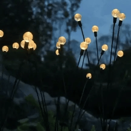 Vagalumes no seu jardim