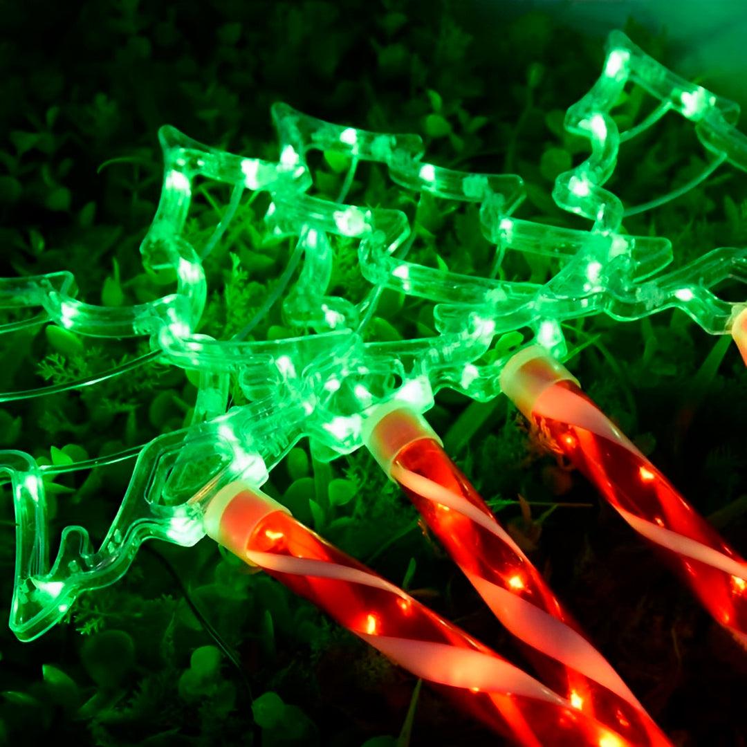 Contorno da copa acesa em verde com LEDs ao longo da silhueta do pinheirinho