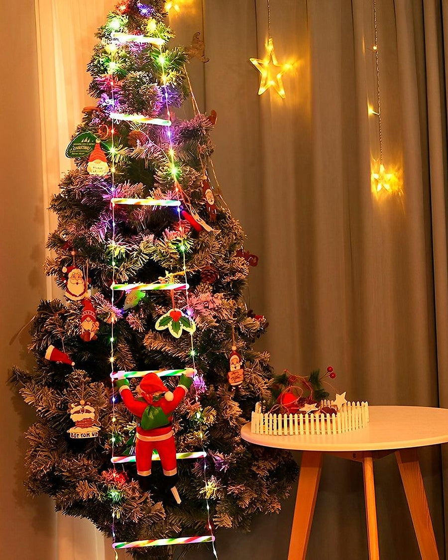 Dentro de casa, sobe pelos galhos da árvore de Natal