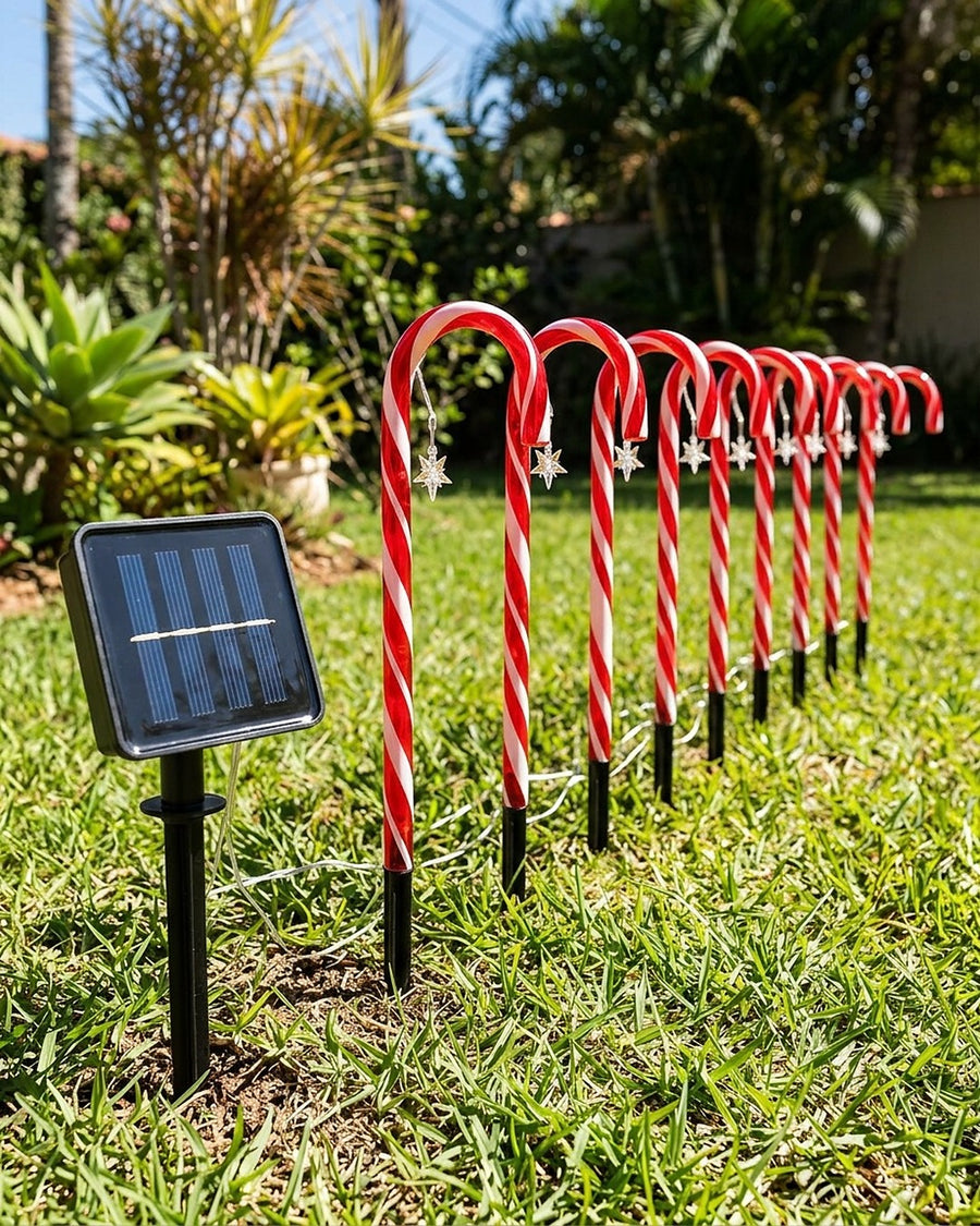 Bengala de Natal luminosa solar para jardim no ambiente