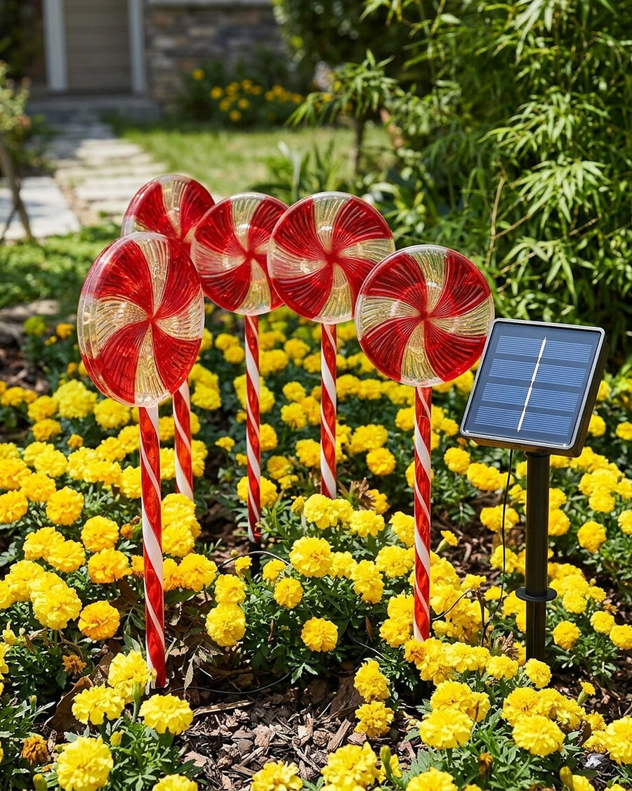 Pirulito de Natal para jardim, kit com 5 espetos solares no ambiente