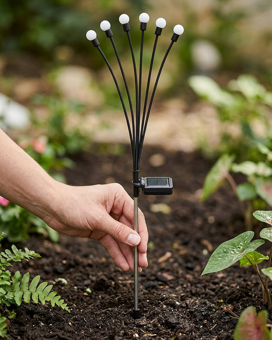 O tubo de aço inox entra na terra, sem fio nem tomada